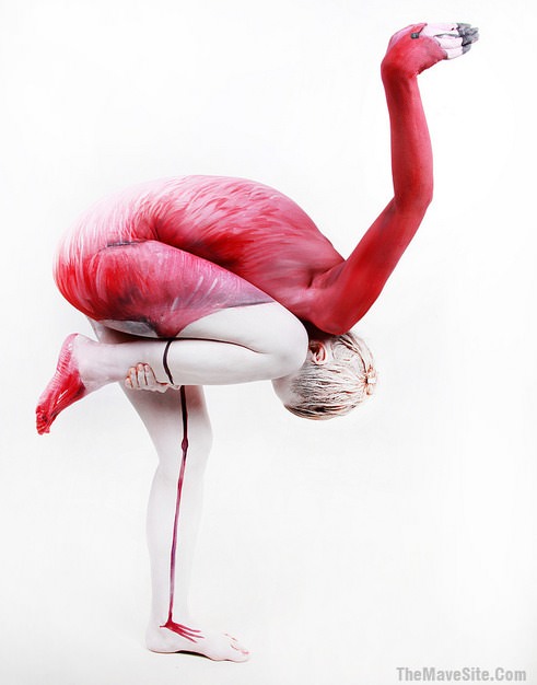 Flamingo.jpg