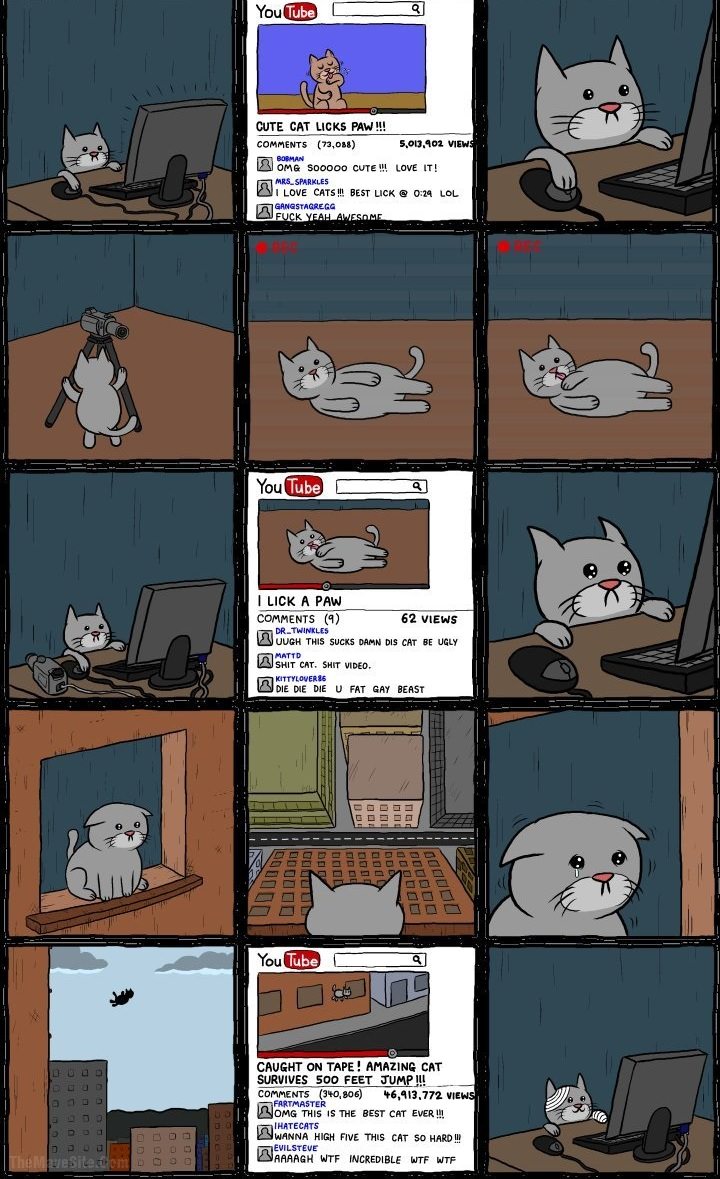YouTubeCat.jpg
