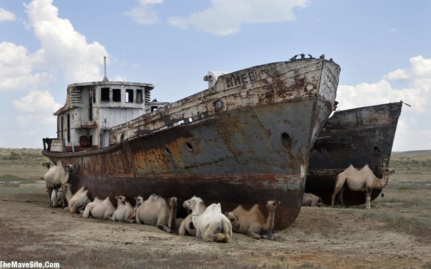 ShipsOfTheDesert.jpg