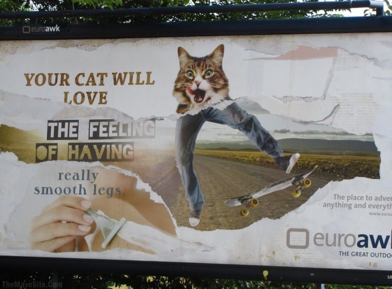 YourCatWillLove.jpg