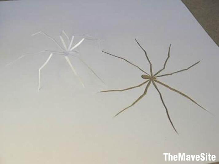 PaperArt%20(27).jpg