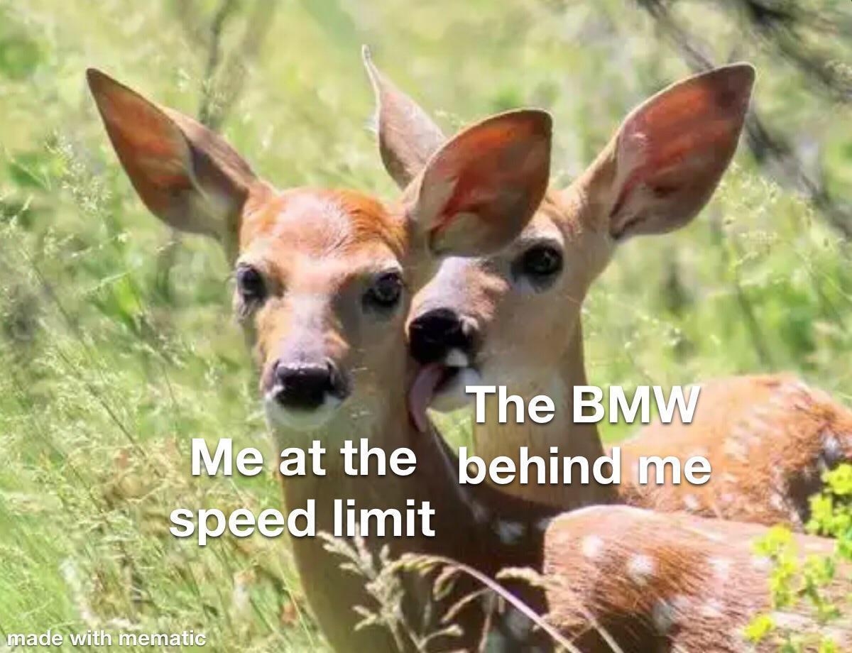bd4mMpD.jpeg