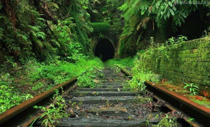 Tunnel.jpg