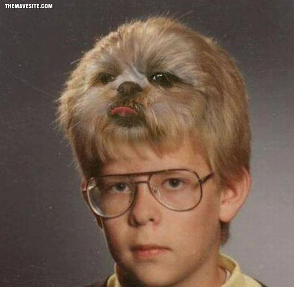 NiceHairstyle.jpg