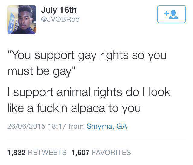 14DViEb.jpg
