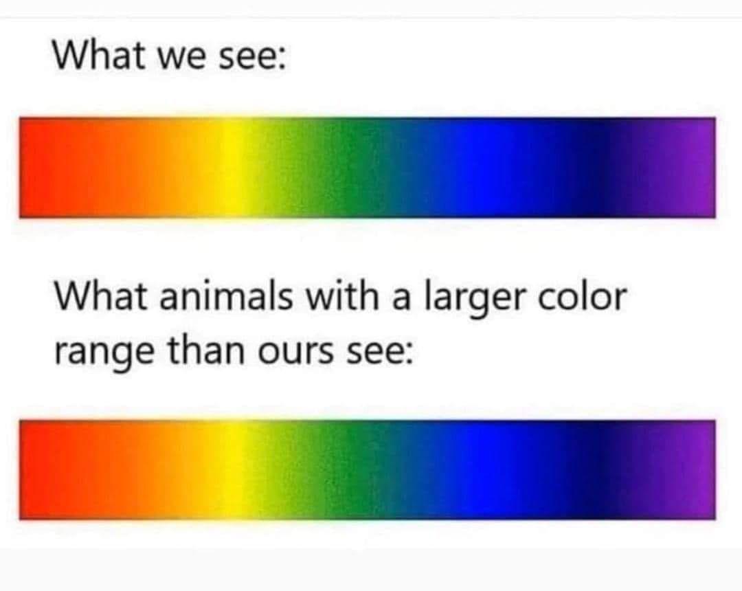 NzWpZXP.jpeg