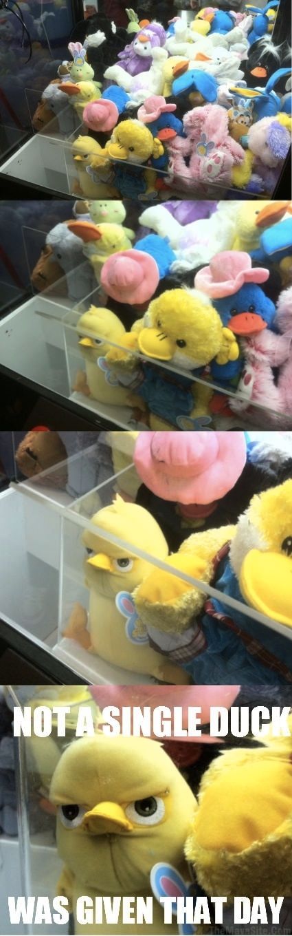 AndNotASingleDuck.jpg