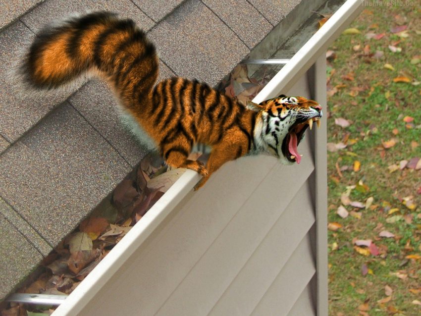 WereAllFuckedNow.jpg