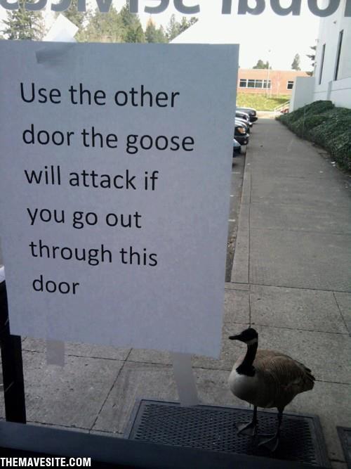 UseTheOtherDoorPlease.jpg