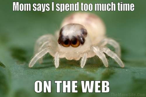 MomSaysISpentTooMuchTime.png