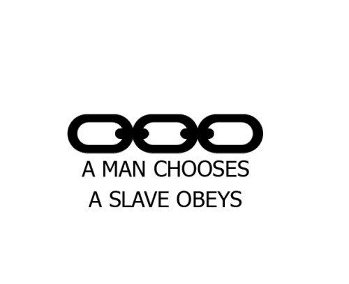 tumblr_m9cmivDTwA1qmbmpro1_500.jpg