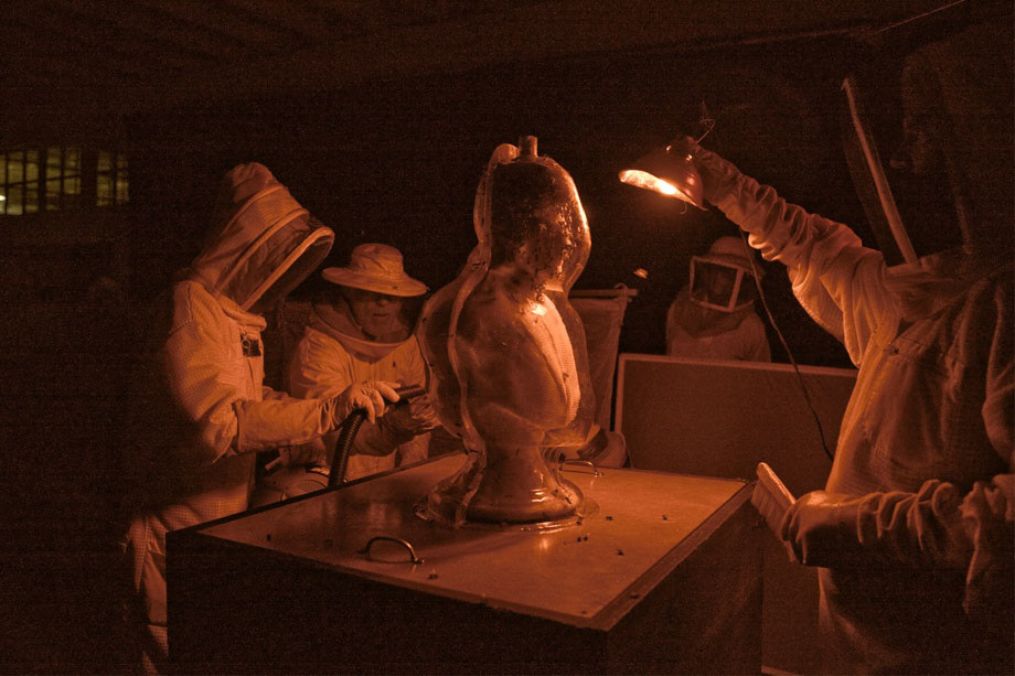 hfAoqi5.jpg