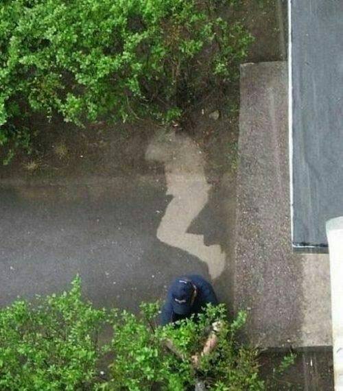 wCwdhsU.jpg