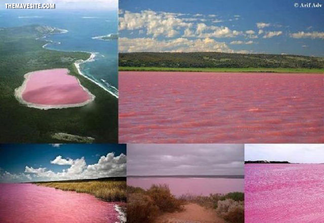 PinkLake%2cAustralia.jpg