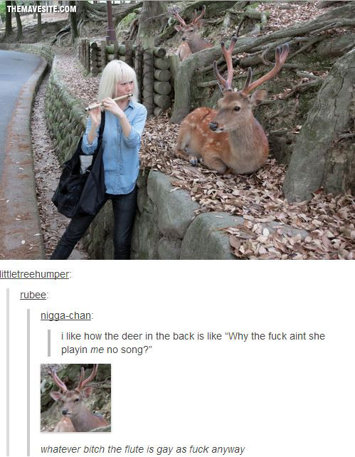 Deer.jpg