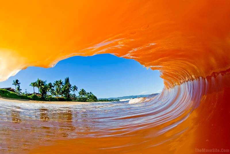 Wave.jpg