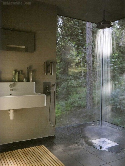 OpenViewShower.jpg