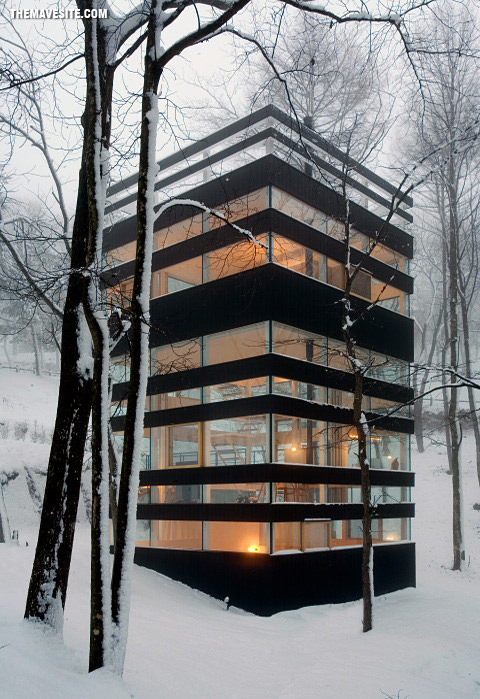 ForrestHouse.jpg