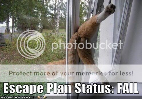 funny-pictures-escape-plan-fail.jpg