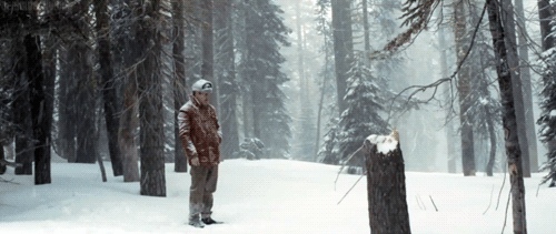 zaosmrB.gif