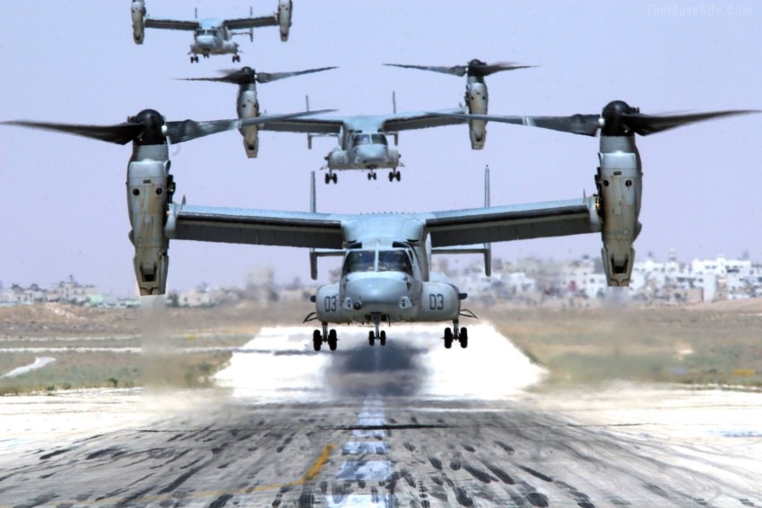 OspreyInFlight.jpg
