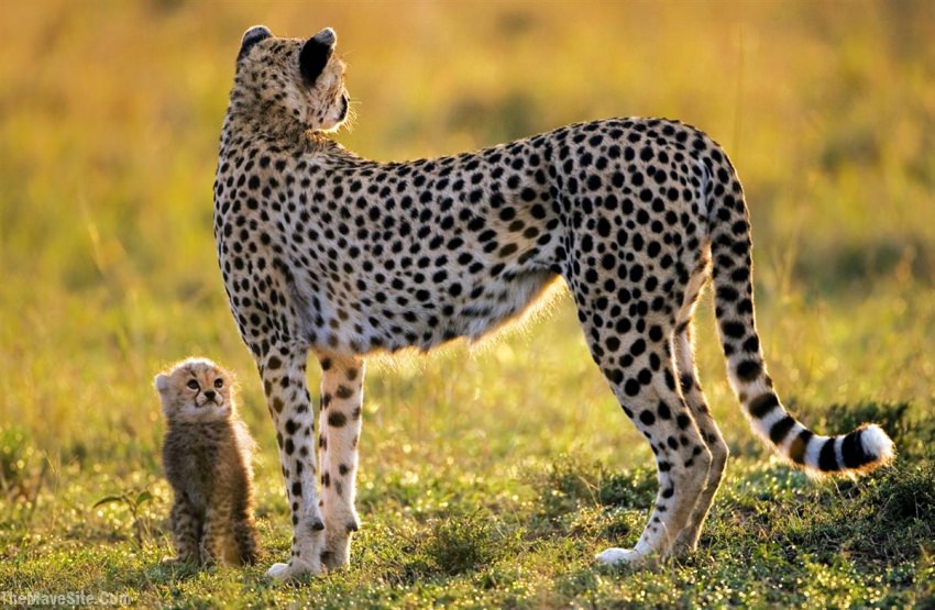 Mom&Son.jpg