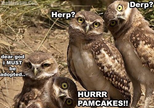 HurrrrPAMCAKES.jpg