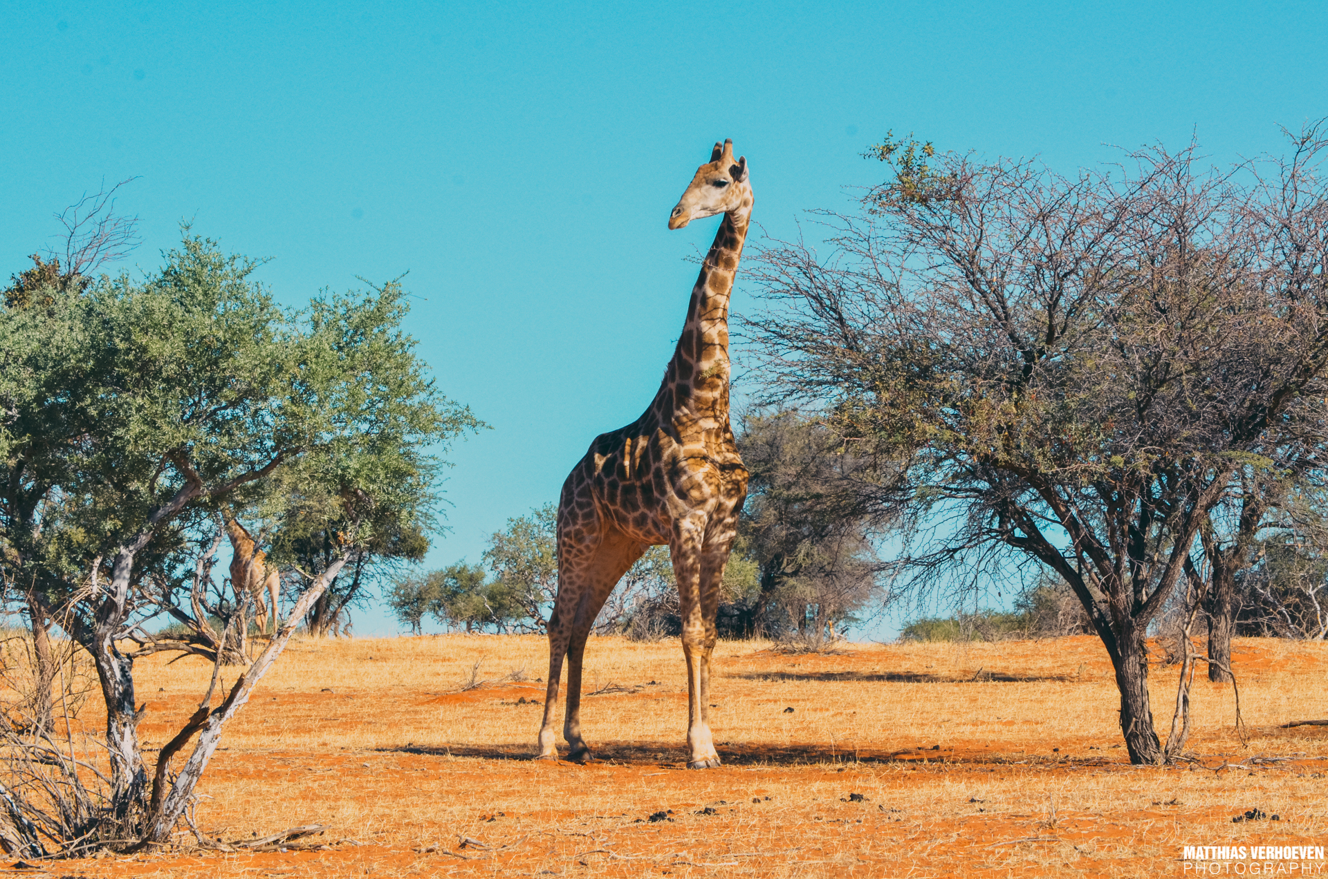 NAMIBIA2017%20(1).jpg
