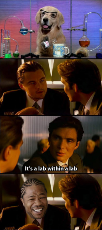 tumblr_lynicbSYaU1qanb21o1_500.png