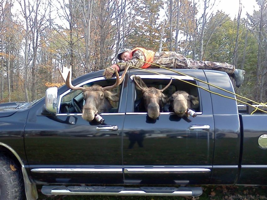 HuntingGoneWrong.jpg
