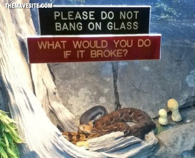 PleaseDoNotBangOnGlass.jpg