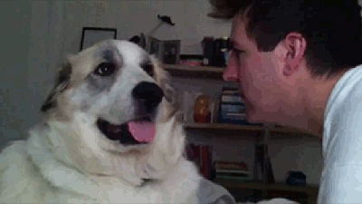 DogSlap.gif