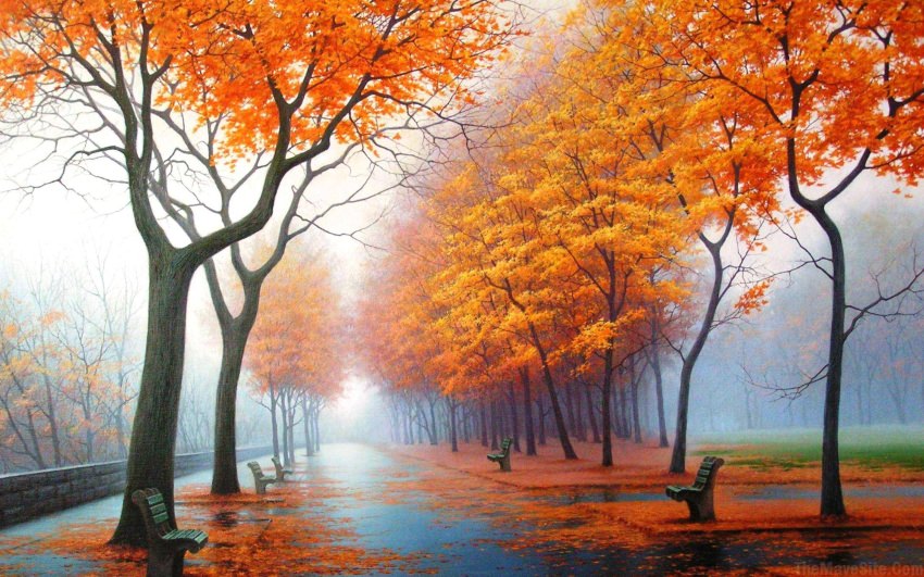 AutumnLeaves..jpg