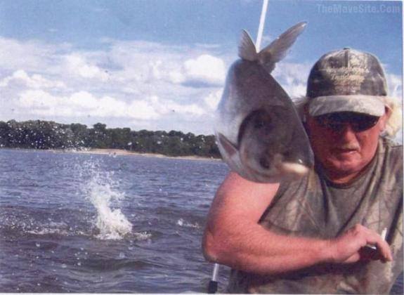 FishPhotobomb.jpg