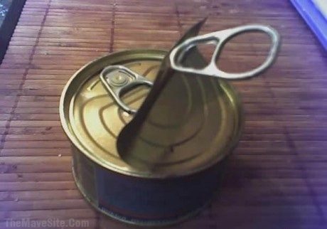 Canception.jpg