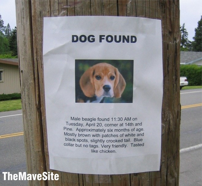 DogFound.jpg