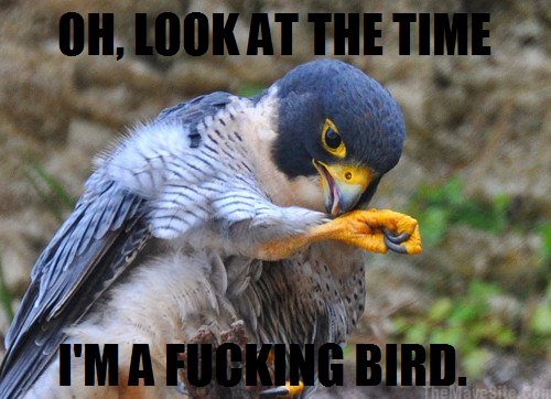 OhLookAtTheTime.jpg