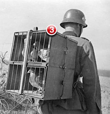 3UnreadMessages.jpg