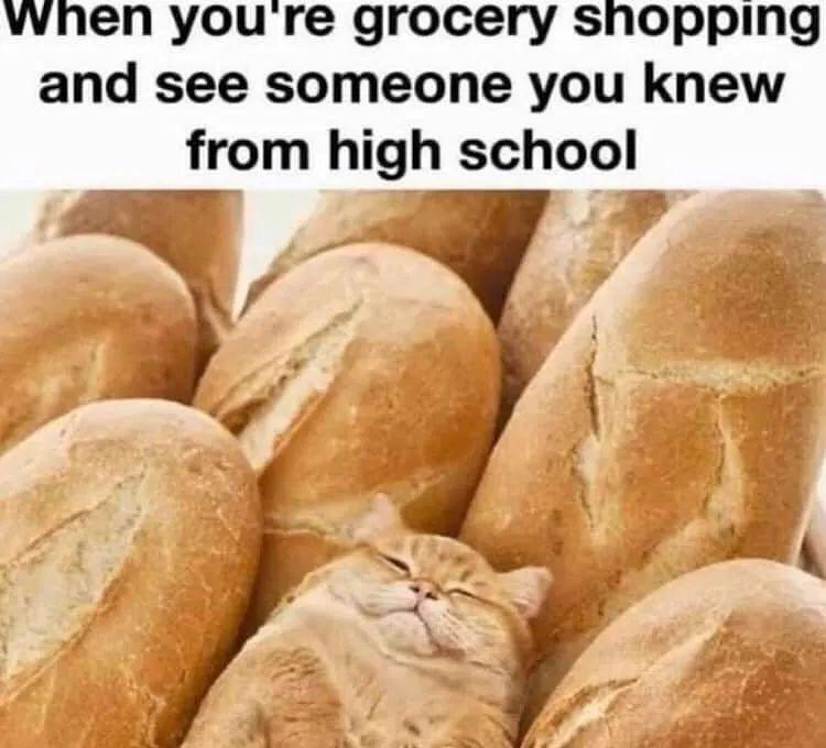 R0AK7Wd.jpeg