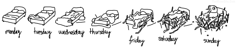 YourBedThroughoutTheWeek.jpg