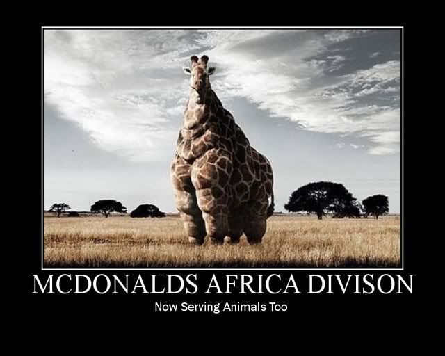motivator995909.jpg