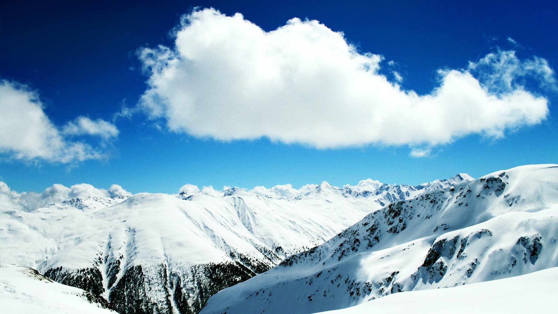 MdVwab5.jpg