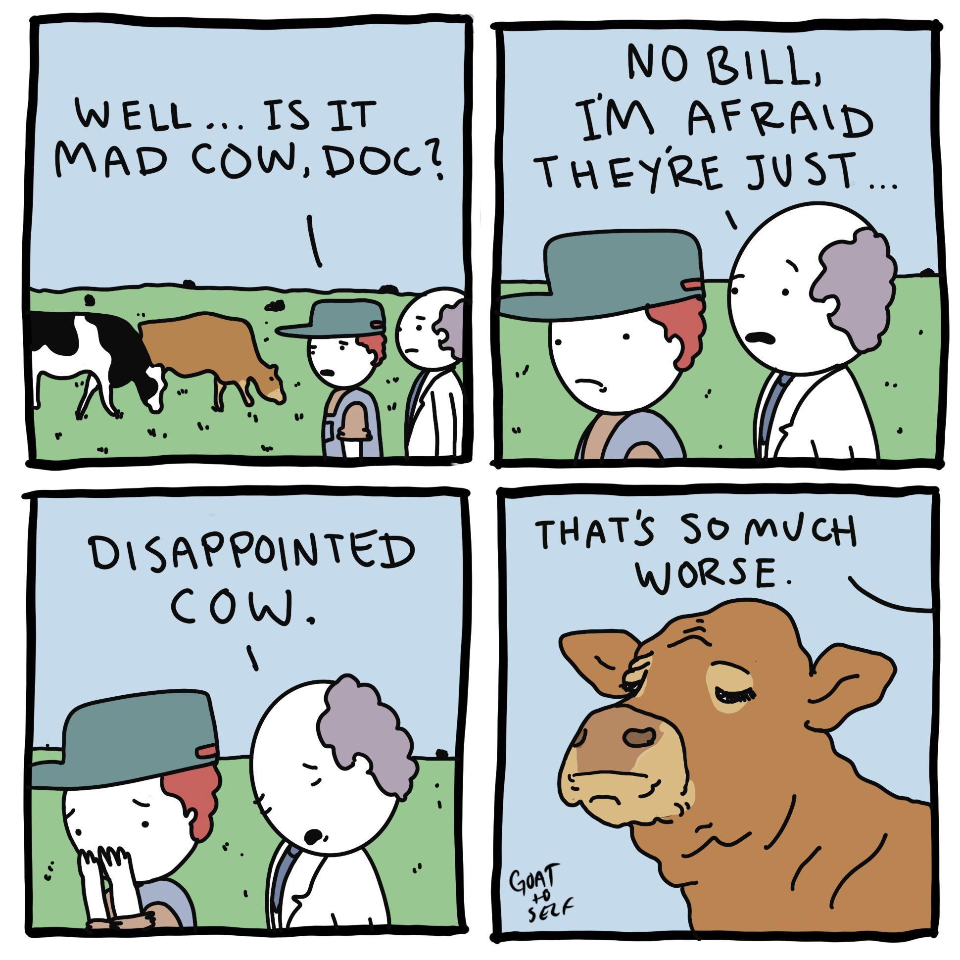 1A6H5fJ.jpeg