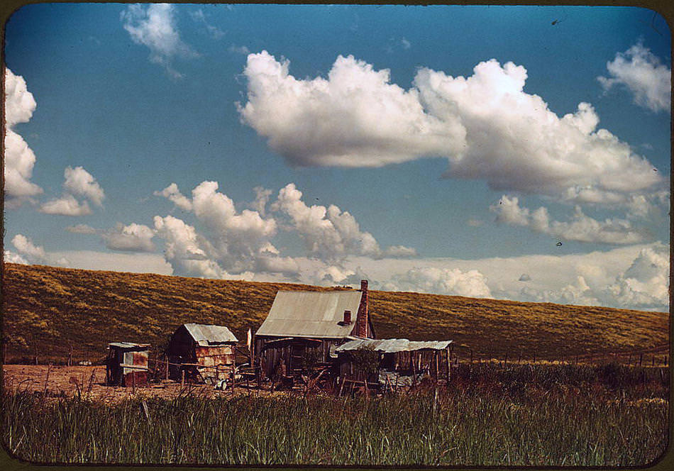 color037.jpg