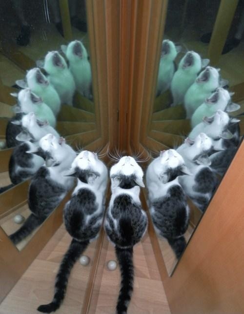 gFZkQ4I.jpg