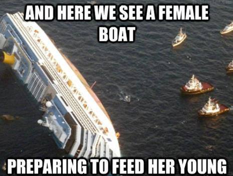TheMothership.jpg