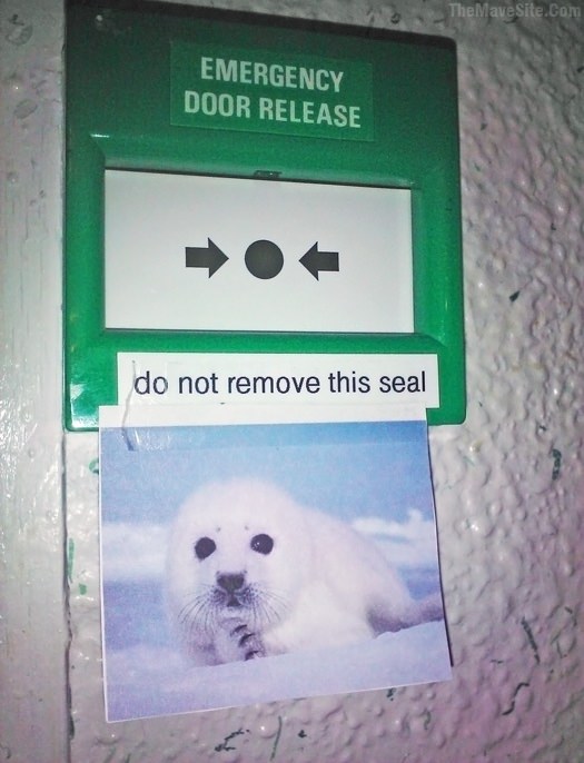 DoNotRemoveThisSeal.jpg