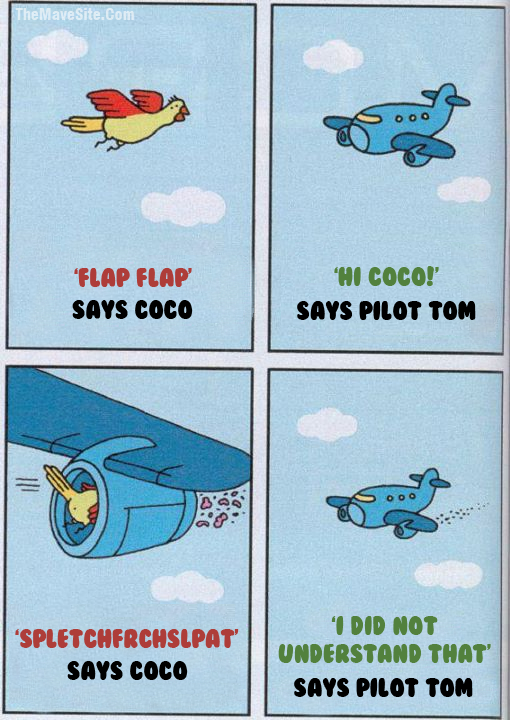 FlapFlapSaysCoco.png