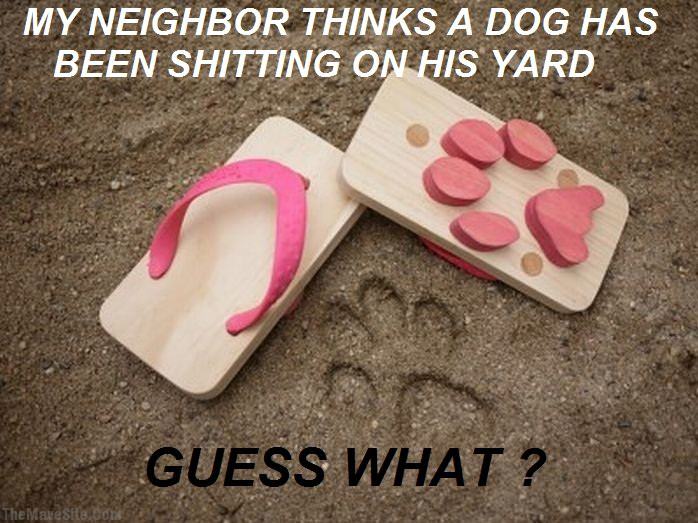 GuessWhat.jpg
