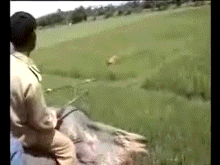 BdbYPzc.gif